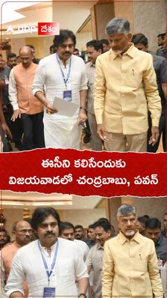 సీఈసీని కలిసి ఓటరు జాబితా అక్రమాలపై చంద్రబాబు, పవన్ ఫిర్యాదు