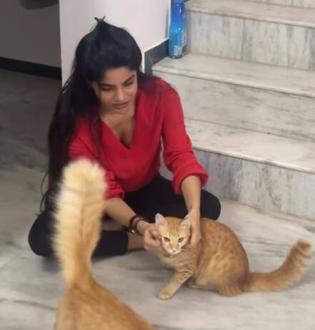 ஷூட்டிங்கில் பிஸியாக இருக்கும் திவ்யா, நீண்ட காலத்திற்கு பிறகு பூனைகளை சந்திப்பதாகவும் பதிவிட்டுள்ளார்.