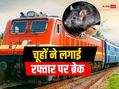 एमपी: ...जब शताब्दी एक्सप्रेस में लगी ब्रेक, कोच से धुआं निकलता देख घबराए यात्री, जानें फिर क्या हुआ?