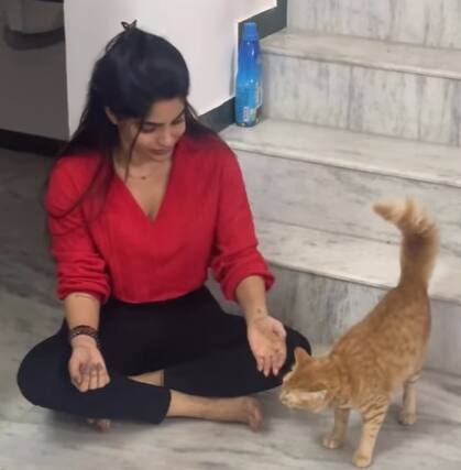 இன்ஸ்டாவில் ஆக்டீவாக இருக்கும் திவ்யா, பல புகைப்படங்களை பதிவிடுவார்.