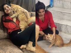 Divyabharathi : பூனைகளுடன் க்யூட்டாக விளையாடும் நடிகை திவ்யபாரதி..!