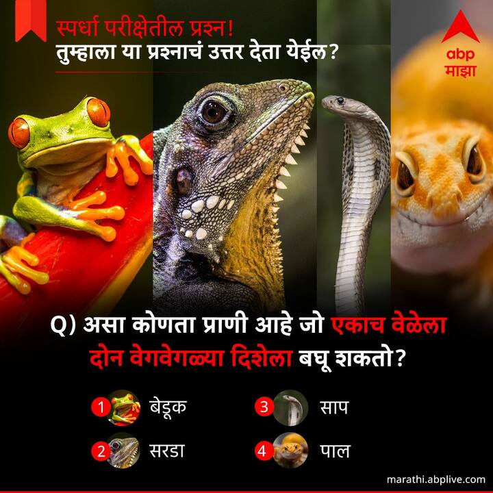 असा कोणता प्राणी आहे जो एकाच वेळेला दोन वेगवेगळ्या दिशेला बघू  शकतो ?