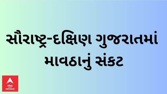 Gujarat Unseasonal Rain | હજુ 24 કલાક સૌરાષ્ટ્ર અને દક્ષિણ ગુજરાતમાં માવઠાનું સંકટ