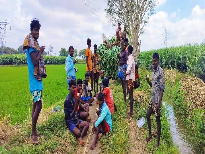 ஓய்வு நேரத்தில் கரும்பு வெட்டும் தொழிலாளர்கள் தேனீர் அருந்தும் காட்சி.