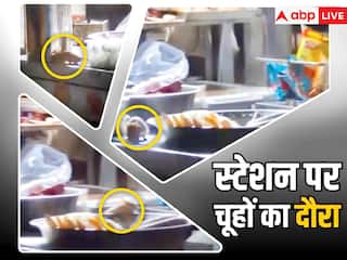 Viral Video: आईआरसीटीसी की स्टॉल में खाने पर दौड़ते नजर आए चूहे, यूजर्स बोले- तगड़ा इंस्पेक्शन चल रहा है...