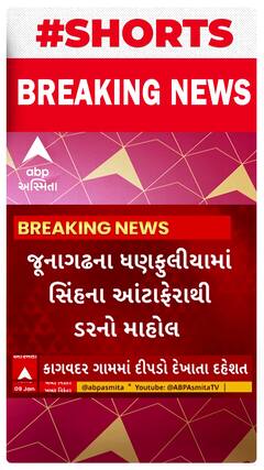Junagadh News : ધણફુલીયામાં સિંહના આંટાફેરાથી ડરનો માહોલ