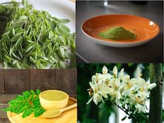 Murungai Keerai Thuvaiyal: இரும்புச் சத்து நிறைந்த முருங்கைக் கீரை துவையல்! எப்படி செய்வது?
