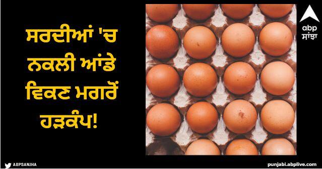 Ludhiana News: ਸਰਦੀਆਂ 'ਚ ਨਕਲੀ ਆਂਡੇ ਵਿਕਣ ਮਗਰੋਂ ਹੜਕੰਪ! ਪਲਾਸਟਿਕ ਤੇ ਮੋਮ ਵਰਗੀ ਸਮੈਲ, ਲੋਕ ਆਂਡੇ ਖਾਣ ਤੋਂ ਡਰੇ