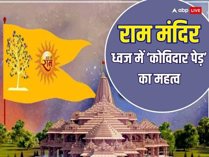 Ayodhya Ram mandir: राम मंदिर में 22 जनवरी को राम लला विराजित होंगे. राम मंदिर के ध्वज में सूर्य के साथ कोविदार पेड़ भी चिन्हित होगा, क्या है इस पेड़ का धार्मिक महत्व, क्या है इसका राम राज्य से संबंध