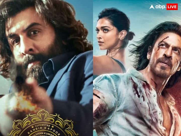 अभिनेता शाहरुख खान की ‘एनिमल’ ने शाहरुख खान की ‘पठान’ को दी चपत, कमाई में छूट गई पीछे!