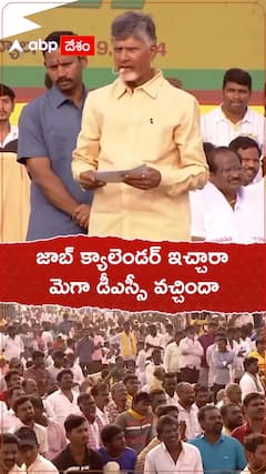 జాబ్ క్యాలెండర్ ఇచ్చారా..మెగా డీఎస్సీ వచ్చిందా.?