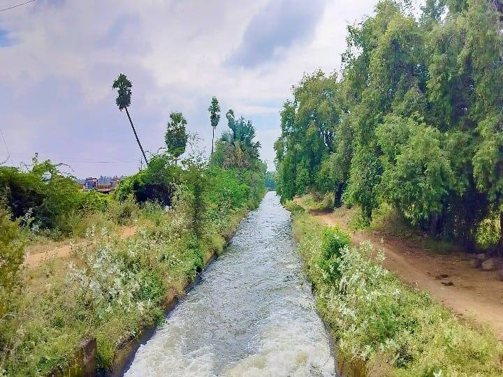 இரு போக பாசனப் பகுதியான கள்ளந்தரியில் தண்ணீர் செல்லும் காட்சி.
