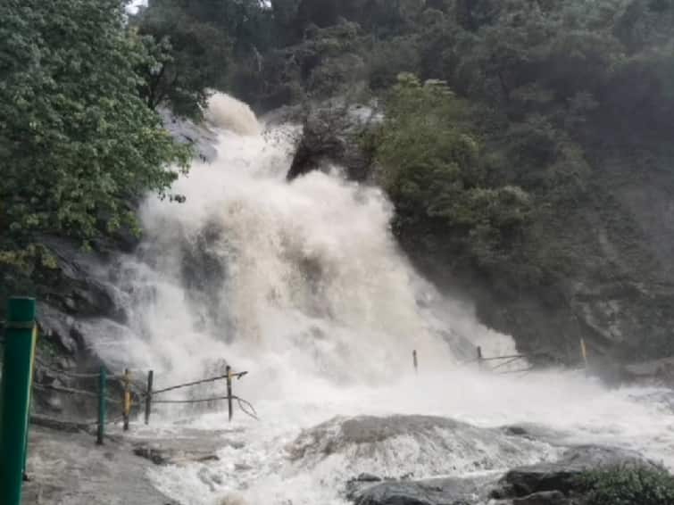 Coimbatore news Tourists banned due to flooding in Kaviaruvi due to rain in pollachi - TNN Pollachi: தொடர் மழையால் கவியருவியில் வெள்ளப்பெருக்கு; சுற்றுலா பயணிகளுக்கு தடை
