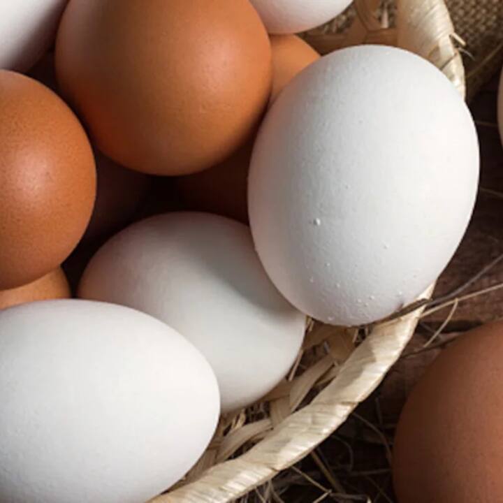 ਨਕਲੀ ਅੰਡੇ ਹੱਡੀਆਂ ਨੂੰ ਕਮਜ਼ੋਰ ਕਰ ਸਕਦੇ ਹਨ। ਅਜਿਹੇ ਅੰਡੇ ਖਾਣ ਨਾਲ ਕਿਡਨੀ 'ਤੇ ਬੁਰਾ ਪ੍ਰਭਾਵ ਪੈਂਦਾ ਹੈ।