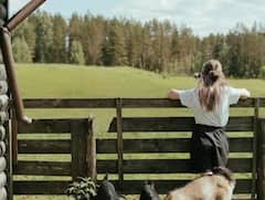 Agriculture: ਕੀ ਹੁੰਦੀ ਮਿਸ਼ਰਿਤ ਖੇਤੀ? ਇਸ ਨਾਲ ਕਦੇ ਨਹੀਂ ਰੁਕੇਗੀ ਕਮਾਈ, ਜਾਣੋ ਤਰੀਕਾ