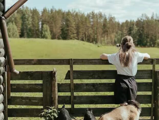 ਮਿਸ਼ਰਤ ਖੇਤੀ ਘੱਟ ਲਾਗਤ 'ਤੇ ਵੱਧ ਉਤਪਾਦਨ ਦਿੰਦੀ ਹੈ। ਇਸ ਦਾ ਕਾਰਨ ਇਹ ਹੈ ਕਿ ਪਸ਼ੂਆਂ ਅਤੇ ਫ਼ਸਲਾਂ ਤੋਂ ਪ੍ਰਾਪਤ ਕੀਤੀ ਖਾਦ ਦੀ ਮੁੜ ਵਰਤੋਂ ਕਰਕੇ ਜ਼ਮੀਨ ਦੀ ਉਪਜਾਊ ਸ਼ਕਤੀ ਨੂੰ ਵਧਾਇਆ ਜਾ ਸਕਦਾ ਹੈ।