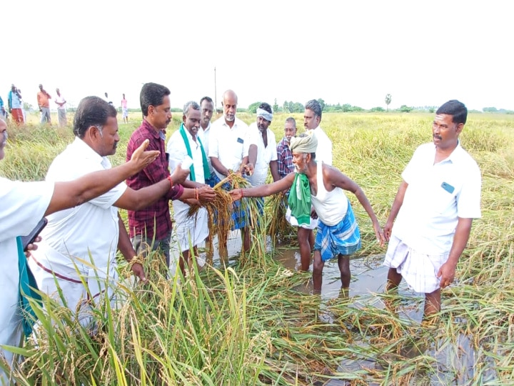 திமுக ஆட்சியில் பயிர் காப்பீட்டு நிறுவனங்கள் தன் விருப்பத்திற்கு செயல்படுகிறது - பிஆர்.பாண்டியன்