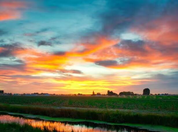 Agriculture: ਕਿਸਾਨ ਮਿਸ਼ਰਤ ਖੇਤੀ ਕਰਕੇ ਭਾਰੀ ਮੁਨਾਫ਼ਾ ਕਮਾ ਸਕਦੇ ਹਨ। ਇਸ ਖੇਤੀ ਨਾਲ ਕਿਸਾਨਾਂ ਨੂੰ ਫਾਇਦਾ ਹੁੰਦਾ ਹੈ ਅਤੇ ਨੁਕਸਾਨ ਦੀ ਸੰਭਾਵਨਾ ਵੀ ਘੱਟ ਹੁੰਦੀ ਹੈ।