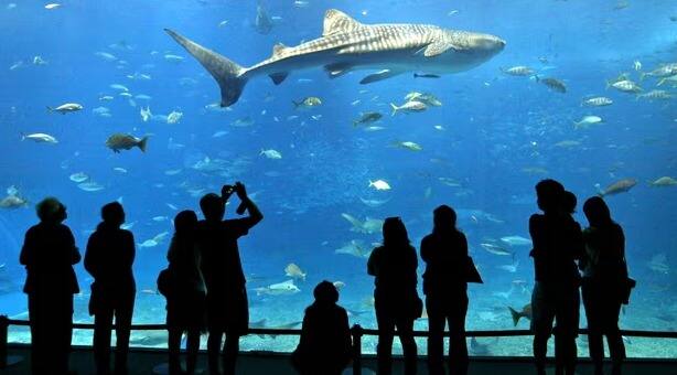 जापान पानी के अंदर शहर बसाने की प्लानिंग कर रहा है. इस प्रोजेक्ट का नाम OCEAN SPIRAL है. जापान की कंपनी शिम्जू कार्पोरेशन इस अंडरवाटर सिटी की योजना बना रही है.