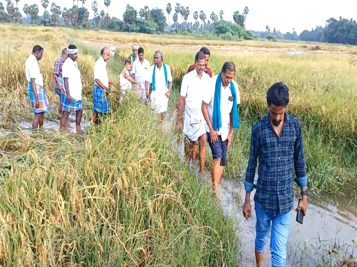 திமுக ஆட்சியில் பயிர் காப்பீட்டு நிறுவனங்கள் தன் விருப்பத்திற்கு செயல்படுகிறது - பிஆர்.பாண்டியன்