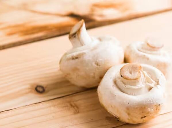 ਜੇਕਰ ਤੁਹਾਡੇ ਕੋਲ ਵੀ 200 ਗਜ਼ ਦਾ ਪਲਾਟ ਹੈ। ਇਸ ਲਈ ਤੁਸੀਂ ਇਸ ਵਿੱਚ ਖੇਤੀ ਕਰਕੇ ਚੰਗਾ ਮੁਨਾਫਾ ਲੈ ਸਕਦੇ ਹੋ। ਅੱਜ ਅਸੀਂ ਤੁਹਾਨੂੰ ਇਕ ਅਜਿਹੀ ਚੀਜ਼ ਬਾਰੇ ਦੱਸਾਂਗੇ, ਜਿਸ ਨੂੰ ਤੁਸੀਂ ਆਪਣੇ ਪਲਾਟ 'ਚ ਲਗਾ ਸਕਦੇ ਹੋ ਅਤੇ ਚੰਗੀ ਕੀਮਤ 'ਤੇ ਬਾਜ਼ਾਰ 'ਚ ਵੇਚ ਸਕਦੇ ਹੋ। ਅਸੀਂ ਮਸ਼ਰੂਮਜ਼ ਬਾਰੇ ਗੱਲ ਕਰ ਰਹੇ ਹਾਂ. ਅੱਜ ਦੇ ਸਮੇਂ ਵਿੱਚ ਬਜ਼ਾਰ ਵਿੱਚ ਮਸ਼ਰੂਮ ਦੀ ਬਹੁਤ ਮੰਗ ਹੈ ਅਤੇ ਵੱਡੇ ਹੋਟਲ ਇਸ ਨੂੰ ਲੈ ਰਹੇ ਹਨ। ਅਜਿਹੇ 'ਚ ਮਸ਼ਰੂਮ ਉਗਾਉਣਾ ਤੁਹਾਡੇ ਲਈ ਫਾਇਦੇਮੰਦ ਸੌਦਾ ਹੋ ਸਕਦਾ ਹੈ।