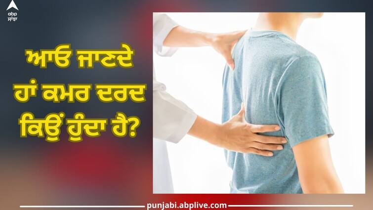 Don't ignore the back pain, treat it on time otherwise it can be a serious disease Back Pain: ਪਿੱਠ ਦਰਦ ਨੂੰ ਭੁੱਲਕੇ ਵੀ ਨਾ ਕਰੋ ਨਜ਼ਰਅੰਦਾਜ਼, ਸਮੇਂ 'ਤੇ ਕਰ ਲਓ ਇਲਾਜ਼...ਨਹੀਂ ਤਾਂ ਹੋ ਸਕਦੀ ਗੰਭੀਰ ਬਿਮਾਰੀ