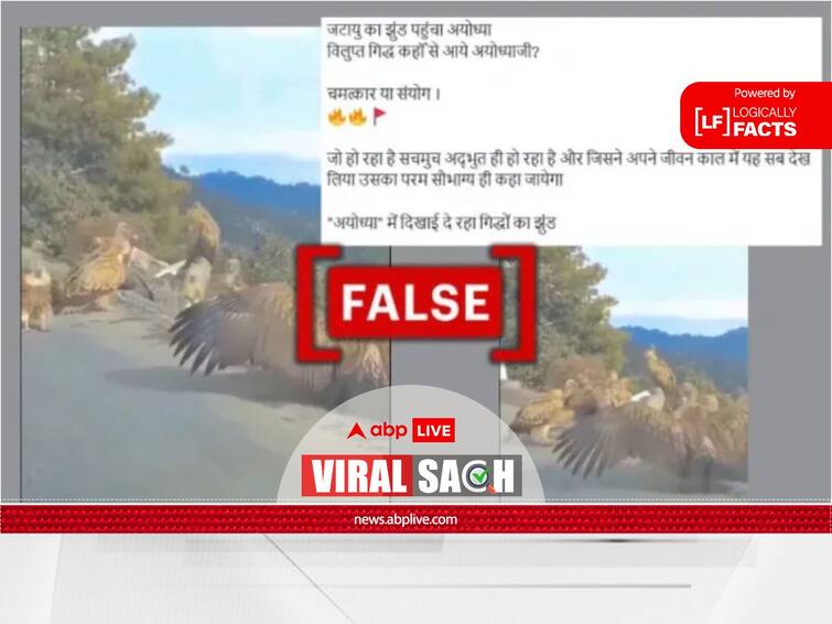 Fact Check: Old Video Being Shared To Claim Vultures Flocking To Ayodhya Ahead Of Temple Event