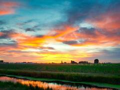 क्या होती है मिश्रित खेती, जिससे सीजन की टेंशन खत्म, कमाई का सिलसिला जारी रहेगा