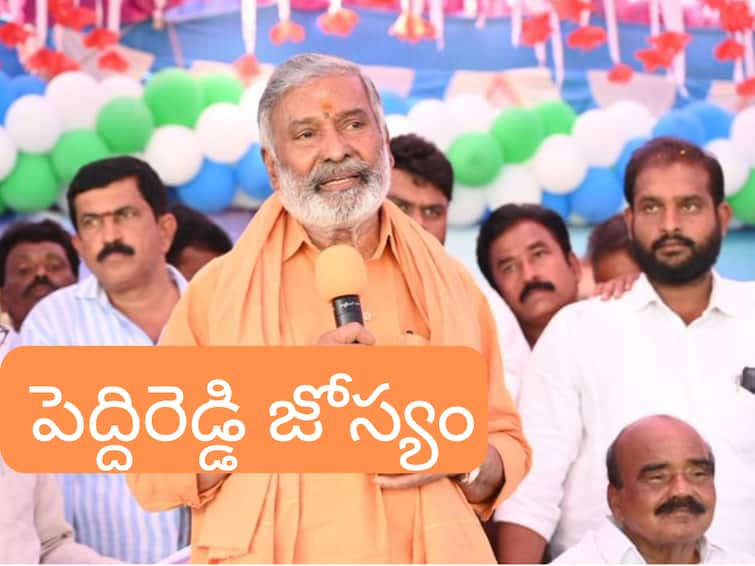 Andhra Pradesh Minister Peddireddy ramchandra reddy visited Hindupuram for two days Hindupuram News: హిందూపురంలో గెలిచేది వైసీపీయేనంటున్న పెద్దిరెడ్డి- మంత్రికి నిరసన సెగ