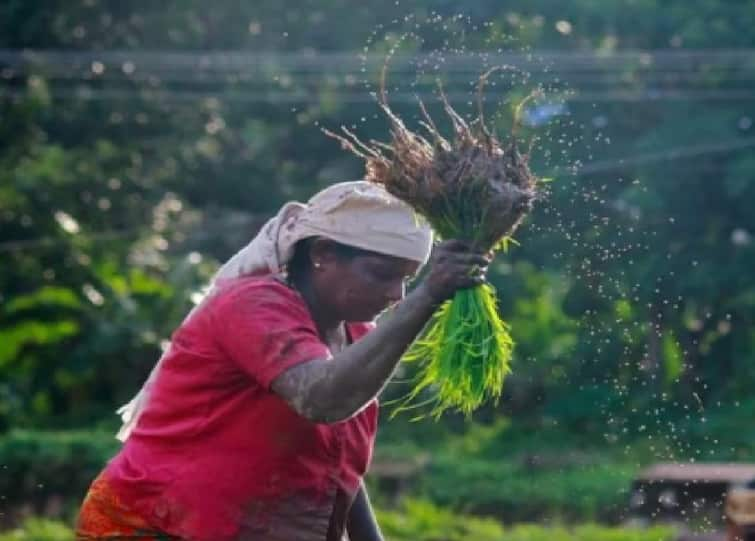 modi govt plan to double pm kisan samman Nidhi for women farmers before lok sabha election Know All details PM Kisan Samman Nidhi: मोदी सरकार महिलांसाठी मोठा निर्णय घेणार, PM किसान सन्मान निधी दुप्पट होण्याची शक्यता