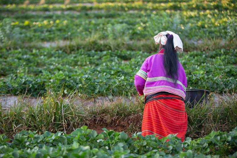 Women Farmers: Big gift to women farmers, they will get Rs 12 thousand every year, announcement may be made soon! Women Farmers: મહિલા ખેડૂતોને મોટી ભેટ, દર વર્ષે મળશે 12 હજાર રૂપિયા, ટૂંક સમયમાં થશે જાહેરાત!