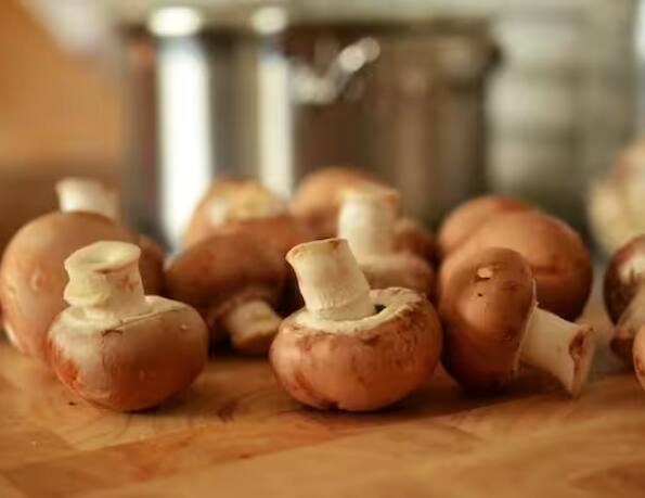 ਜੇਕਰ ਤੁਸੀਂ ਮਸ਼ਰੂਮ ਦੀ ਕਾਸ਼ਤ ਵਿੱਚ ਦਿਲਚਸਪੀ ਰੱਖਦੇ ਹੋ, ਤਾਂ ਤੁਹਾਨੂੰ ਖੁੰਬਾਂ ਦੇ ਬੀਜ, ਖਾਦ, ਢੁਕਵੀਂ ਮਿੱਟੀ, ਪਾਣੀ ਅਤੇ ਛੱਤ ਜਾਂ ਸ਼ੈੱਡ ਦੀ ਲੋੜ ਹੋਵੇਗੀ।