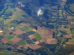 Agriculture: 200 ਗੱਜ ਪਲਾਟ 'ਚ ਕਰ ਸਕਦੇ ਇਸ ਚੀਜ ਦੀ ਖੇਤੀ, ਹੋਵੇਗੀ ਚੰਗੀ ਕਮਾਈ