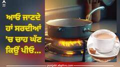 Overboiled Tea: ਜ਼ਿਆਦਾ ਉਬਲੀ ਚਾਹ ਬਣ ਸਕਦੀ 'ਜ਼ਹਿਰ', ਪੀਣ ਤੋਂ ਬਚੋ ਨਹੀਂ ਤਾਂ...