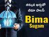 Insurance News: తక్కువ ఖర్చుతో ఇన్సూరెన్స్‌ పాలసీ - 'బీమా సుగమ్‌'తో సాధ్యం