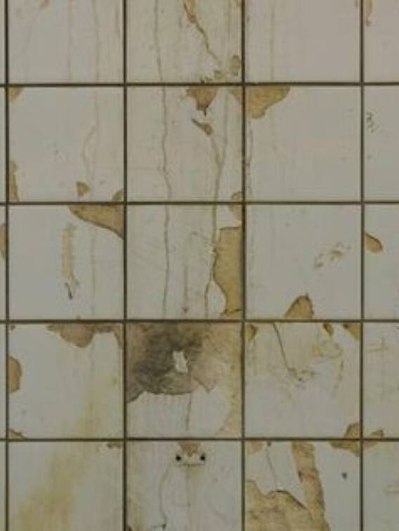 बाथरूम की टाइलों पर लगी काई कैसे साफ करें?