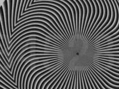 Optical Illusion: केलों की बीच में कहीं छुपा है सांप ?  बुद्धि तेज है तो ढूंढ कर  बताओ, 99% लोग नहीं ढूंढ पाए