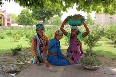 Ladli Behna Yojana: क्या अविवाहित महिलाओं को मिल सकता है लाडली बहना योजना का पैसा?