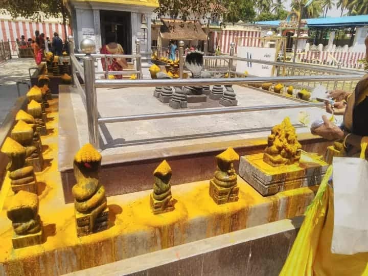 Nagaraja Temple: நாகர்கோவில் ஊர் பெயர் வரக்காரணம் தெரியுமா? - இந்த கோயில் தான்