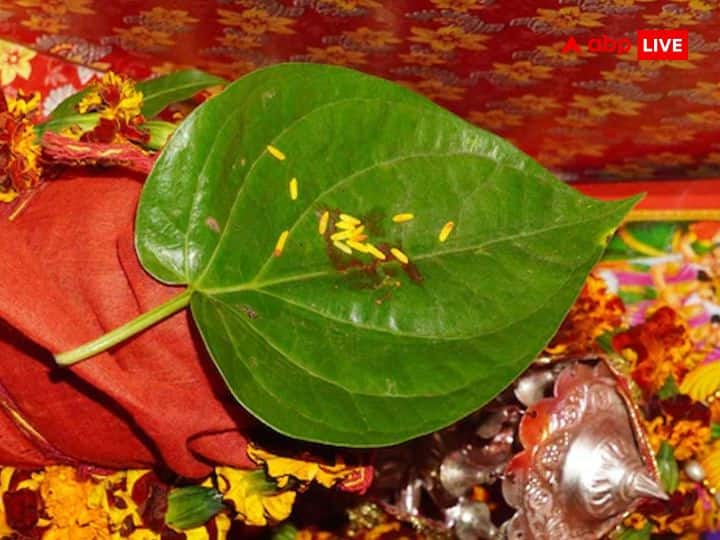 हनुमान जयंती के दिन एक पान का पत्‍ता लेकर उसपर बूंदी के दो लड्डू और एक लौंग रखकर लपेट दीजिए और बीड़ा बनाकर हनुमानजी को चढ़ाएं. इस उपाय को करने से धन की वर्षा होती है और नौकरी व व्‍यापार में आने वाली परेशानियां दूर होती है.