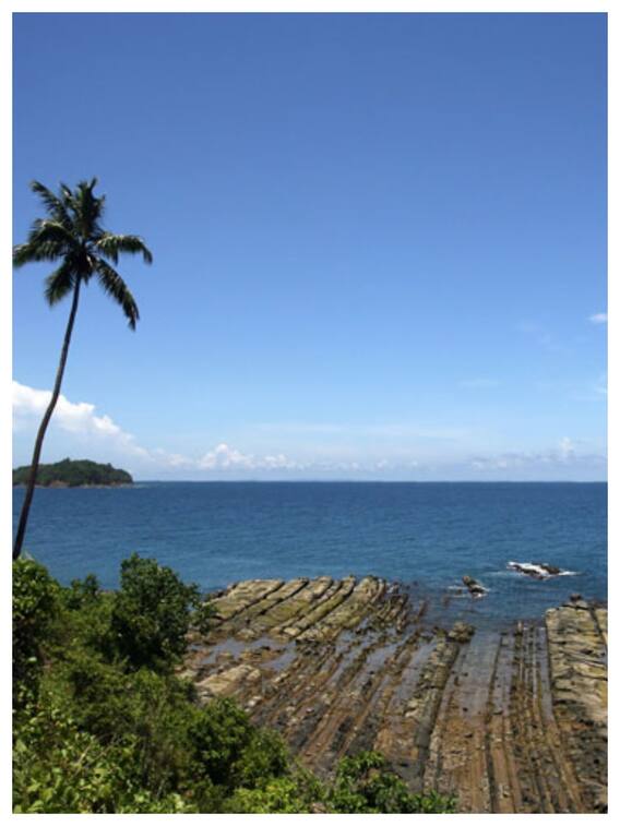 अंडमान घूमने के लिए जनवरी-फरवरी है बेस्ट सीजन