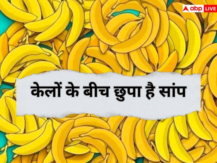 Optical Illusion: ऑप्टिकल इल्यूजन एक ऐसा गेम है जिसमें आपका दिमाग कितना तेज चलता है. इस बात का पता लग जाता है. आपके सामने कोई क्विज होता है. एक तस्वीर होती है जिसमें एक छुपी हुई  चीज होती है.