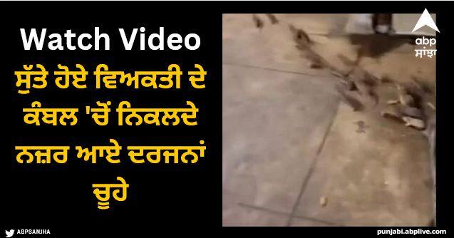 rats scrambling from homeless man blanket shocking video viral Viral Video: ਸੁੱਤੇ ਹੋਏ ਵਿਅਕਤੀ ਦੇ ਕੰਬਲ 'ਚੋਂ ਨਿਕਲਦੇ ਨਜ਼ਰ ਆਏ ਦਰਜਨਾਂ ਚੂਹੇ, ਖੌਫਨਾਕ ਵੀਡੀਓ ਦੇਖ ਉੱਡ ਜਾਣਗੇ ਹੋਸ਼