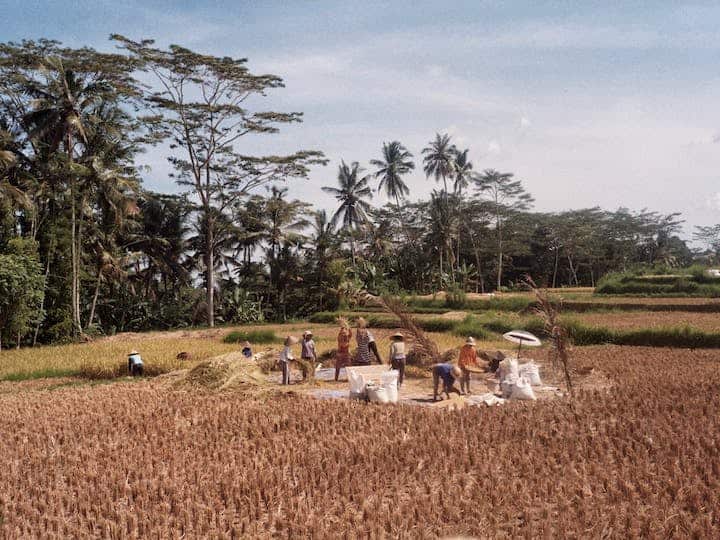 साथ ही बिहार सरकार किसानों को फसल बीमा योजना के तहत बीमा प्रदान करती है. इस योजना के तहत किसानों को फसल के नुकसान की स्थिति में आर्थिक सहायता मिलती है.