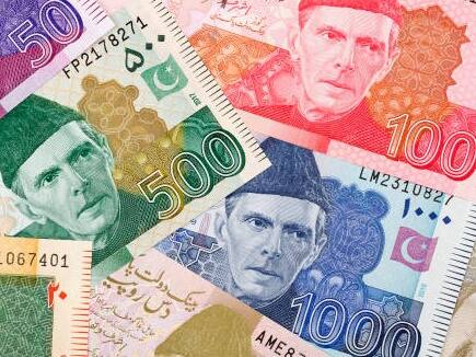 पाकिस्तानी नोट पर भी क्या महात्मा गांधी की तस्वीर है