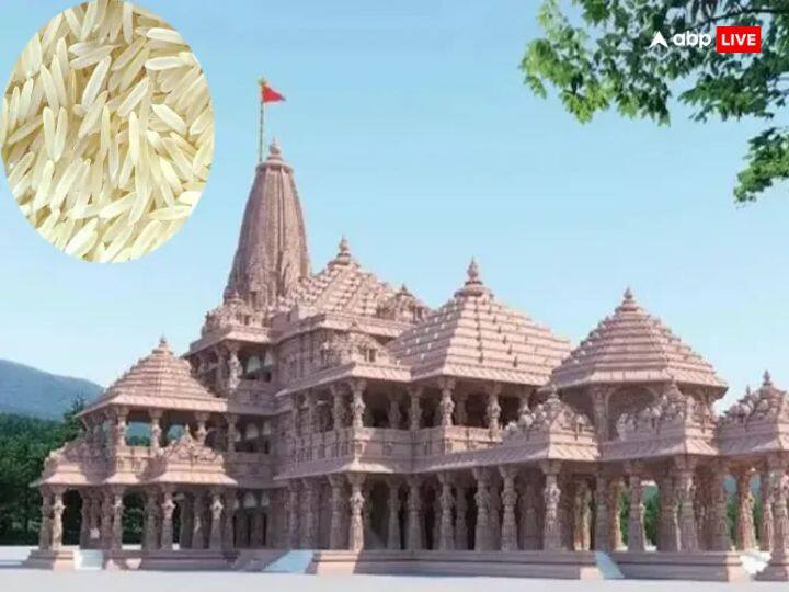 खास बात है कि कैमूर पहाड़ी की जड़ी बूटी के रिसाव का पानी भी इस चावल के खेत तक पहुंचता है. उससे चावल सुगंधित होता है.