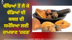 Myrobalan: ਬੱਚਿਆਂ ਤੋਂ ਲੈ ਕੇ ਵੱਡਿਆਂ ਦੀ ਕਬਜ਼ ਦੀ ਸਮੱਸਿਆ ਲਈ ਰਾਮਬਾਣ ‘ਹਰੜ’, ਜਾਣੋ ਇਸ ਨੂੰ ਖਾਣ ਦਾ ਸਹੀ ਤਰੀਕਾ