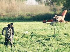 बिहार के किसान ध्यान दें... सरकार किसानों को क्या क्या सुविधाएं दे रही है?