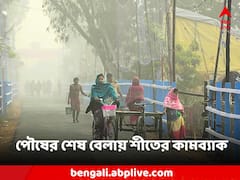 পৌষের শেষ বেলায় শীতের 'কামব্যাক', সংক্রান্তির আগেই হিমেল হাওয়ার দাপট বাড়বে?