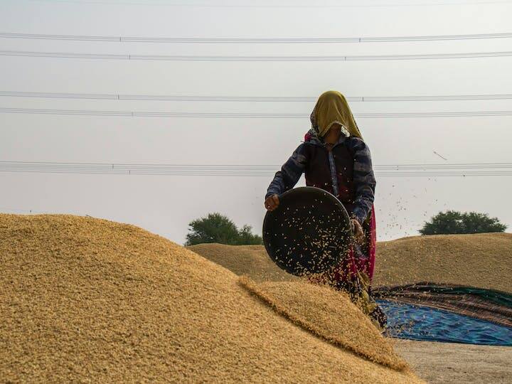 इसके अलावा बिहार सरकार आत्मनिर्भर कृषि के लिए किसानों को प्रोत्साहित कर रही है. इसलिए सरकार किसानों को पशुपालन, मत्स्य पालन, जैविक खेती और अन्य गैर-फसल वाली व्यवसायों में शामिल होने के लिए प्रोत्साहित कर रही है.